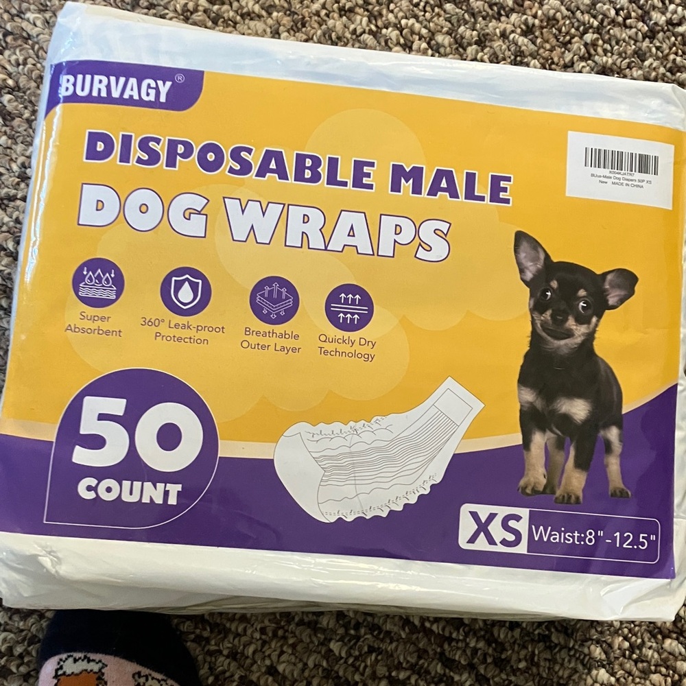 Disposable Male Dog Wraps - Purple and White